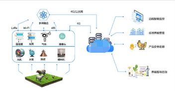 智慧畜牧定位溯源系統 設計與開發實踐